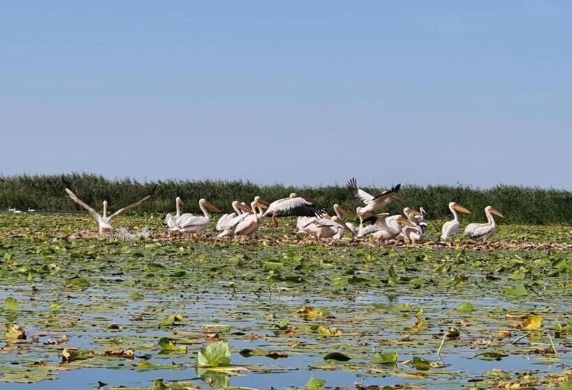 فندق Prestige House