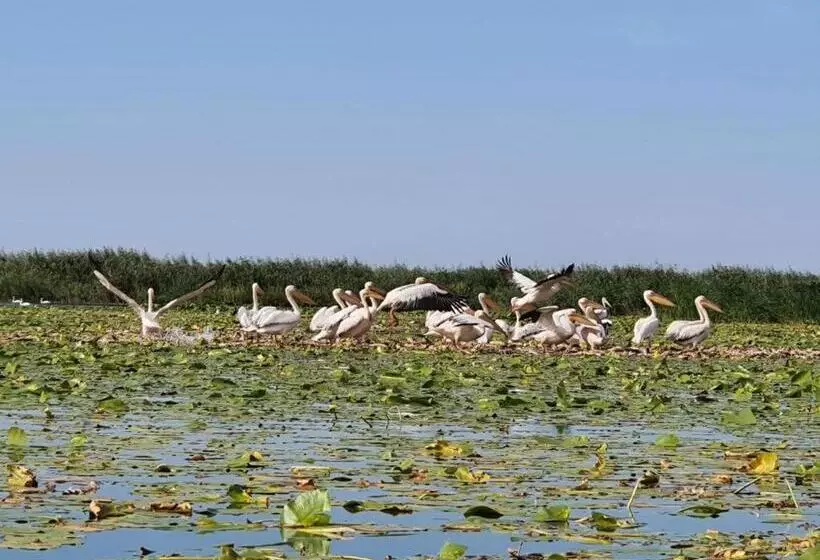 هتل Prestige House