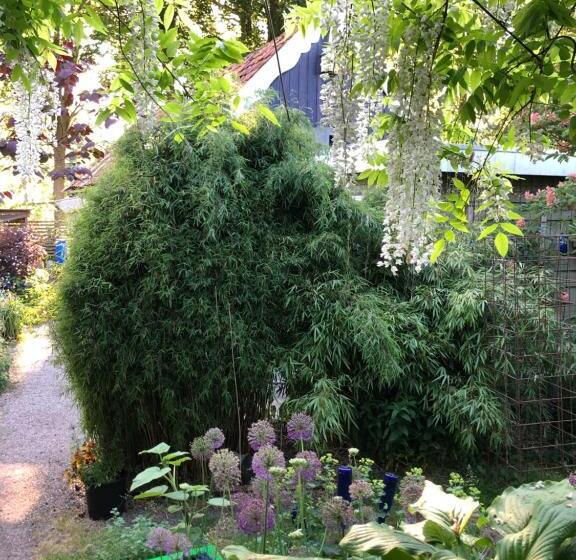Bed & Breakfast Beemster Tiny House
