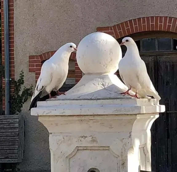 Aamiaismajoitus (B&B) Le Manoir De La Source