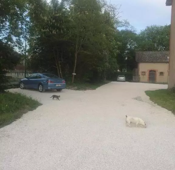 Aamiaismajoitus (B&B) Le Manoir De La Source