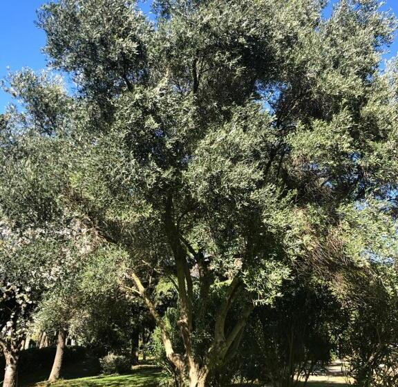 住宿加早餐  Le Nid Des Corbières