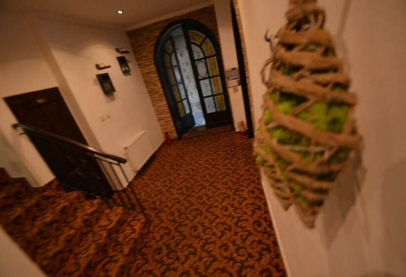 فندق Gala Guesthouse