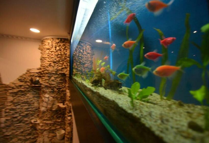 فندق Gala Guesthouse