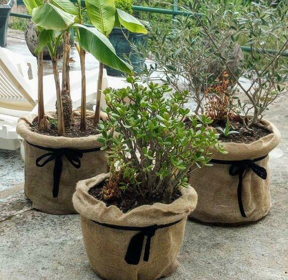 住宿加早餐 Chambre Bounty Cuisine Privée, Lit Queen Size, Terrasse, Garage