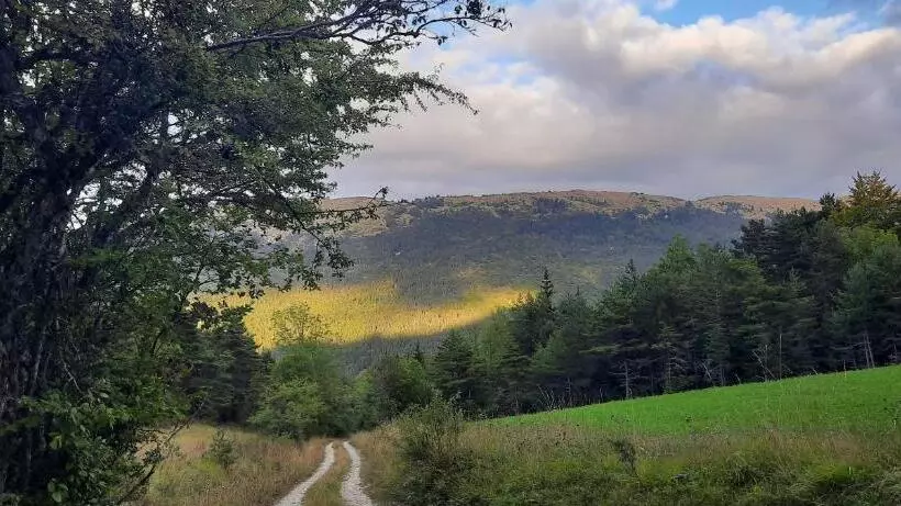 Aamiaismajoitus (B&B) Les Vagabonds Du Mont