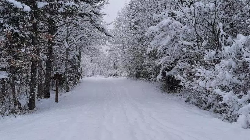 Aamiaismajoitus (B&B) Les Vagabonds Du Mont