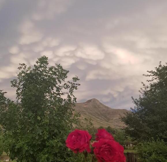 Bed & Breakfast The Viewing Deck Accommodation
