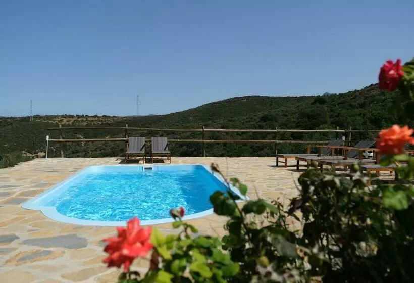 Hotelli The Wild Olive Andalucía Palma Guestroom