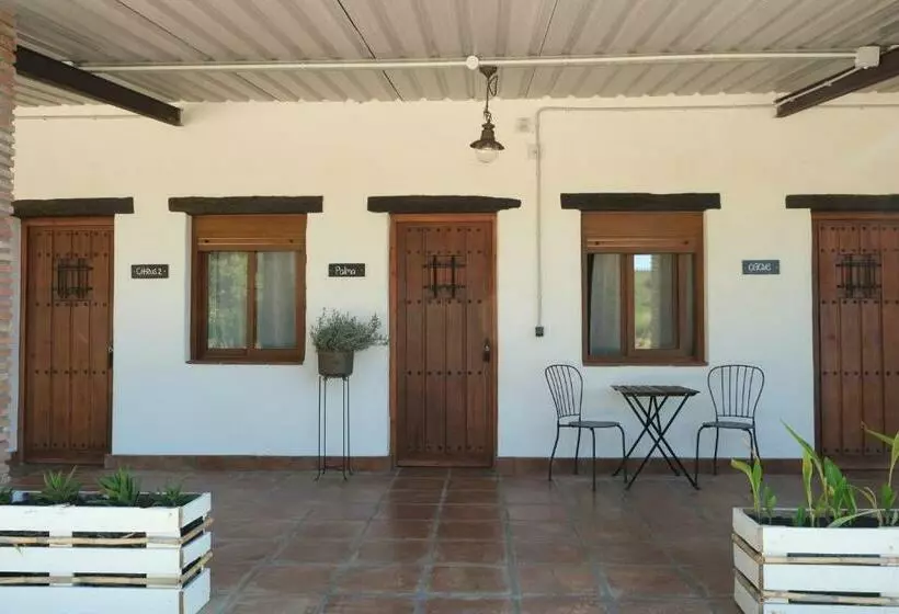 Hotelli The Wild Olive Andalucía Palma Guestroom