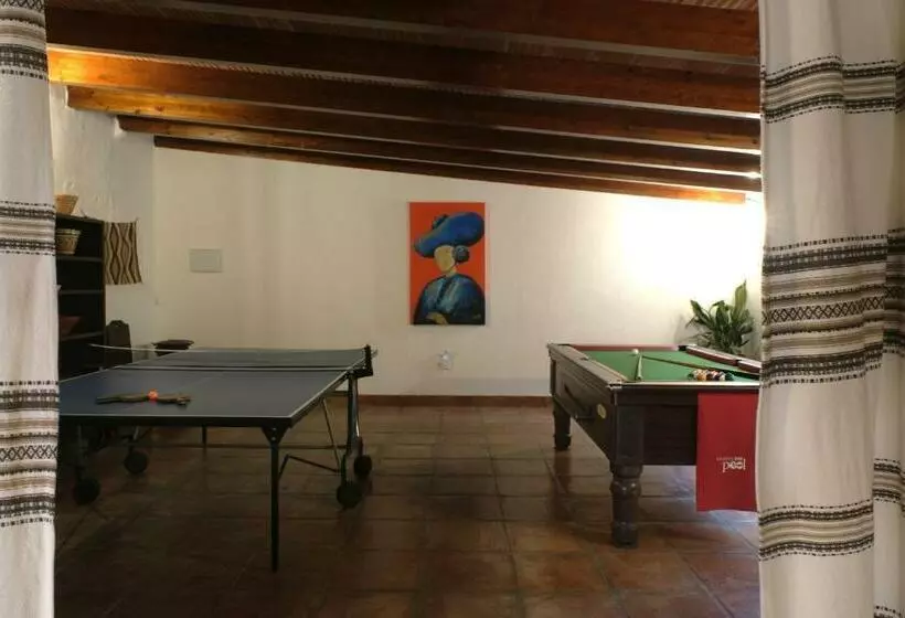 Hotelli The Wild Olive Andalucía Palma Guestroom