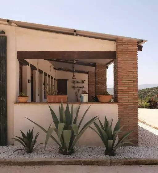 Hotelli The Wild Olive Andalucía Palma Guestroom