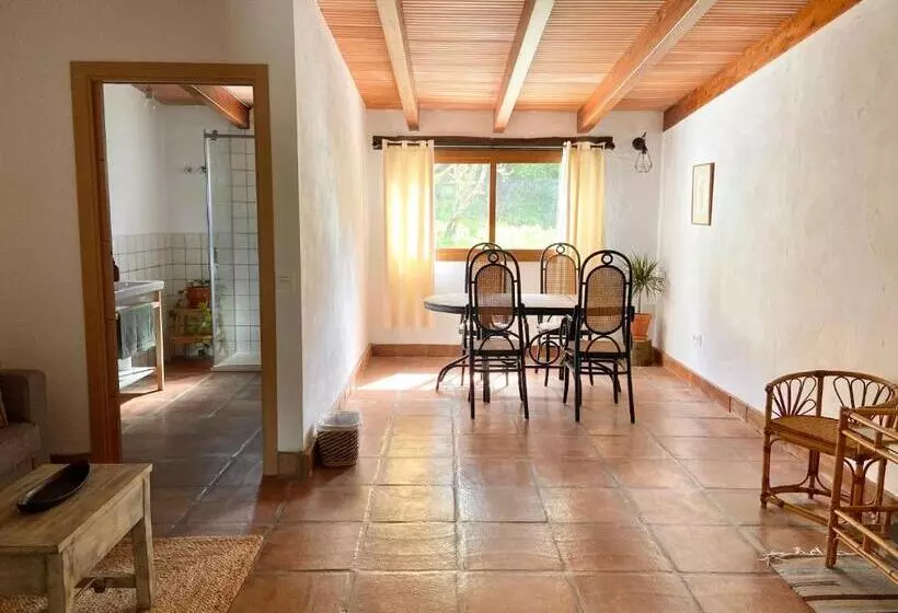 Hotelli The Wild Olive Andalucía Palma Guestroom