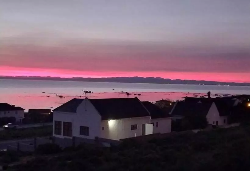 Majatalo Foot Loose & Fancy Free