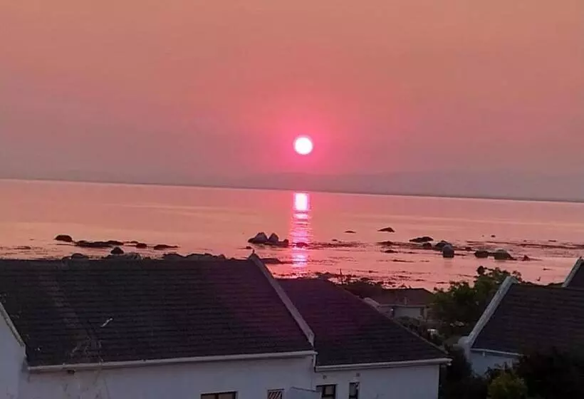 Majatalo Foot Loose & Fancy Free