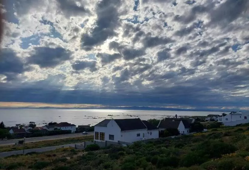 Majatalo Foot Loose & Fancy Free