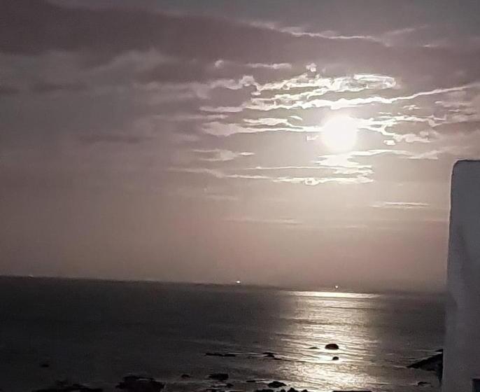 膳宿费 Foot Loose & Fancy Free