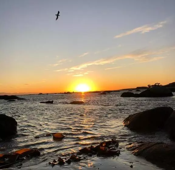 Majatalo Foot Loose & Fancy Free