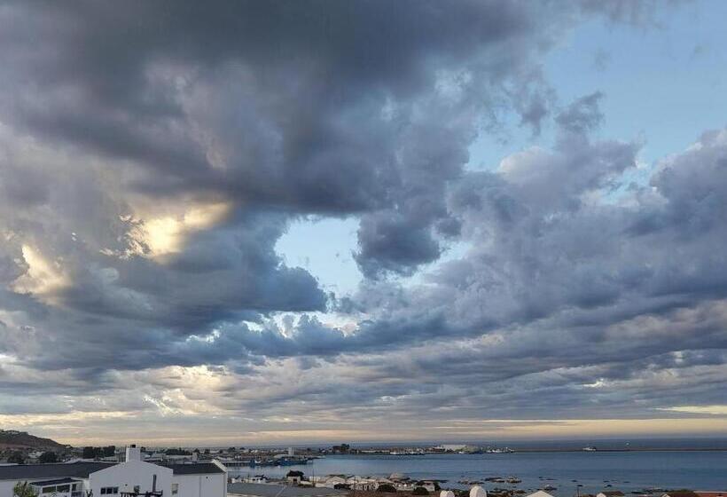 膳宿费 Foot Loose & Fancy Free