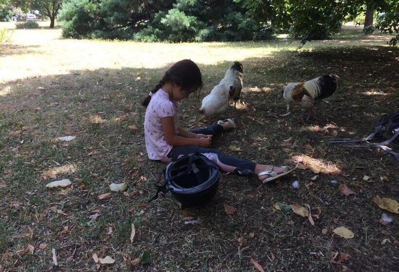 مبيت وإفطار La Closerie De L Autan