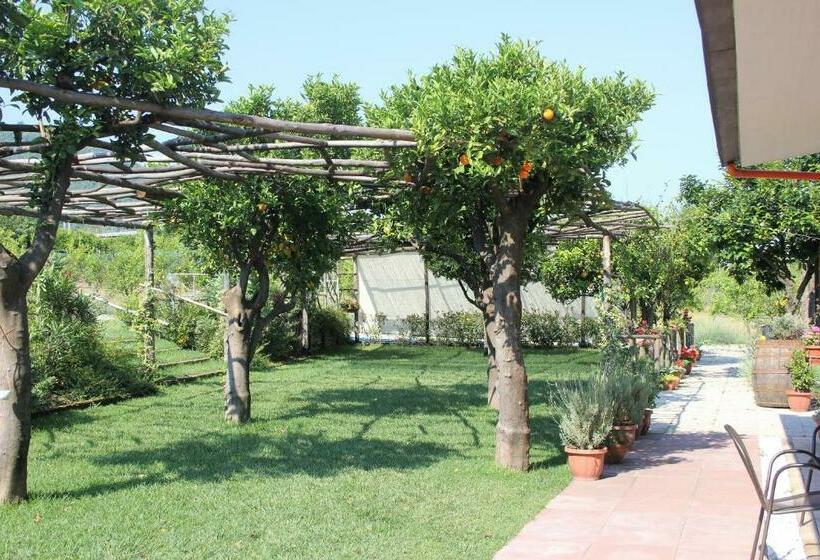 צימר Terra E Cielo