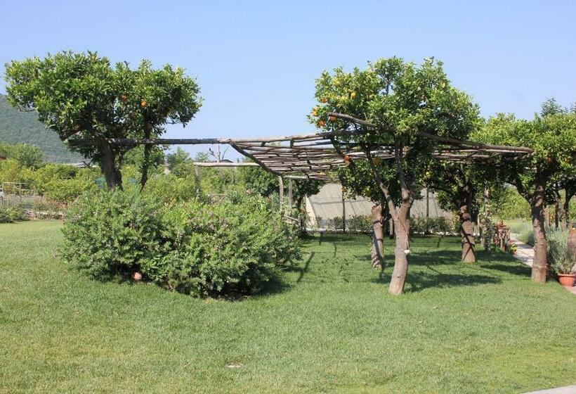 צימר Terra E Cielo