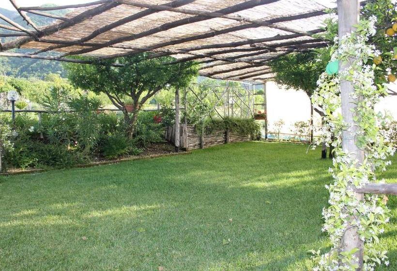 צימר Terra E Cielo