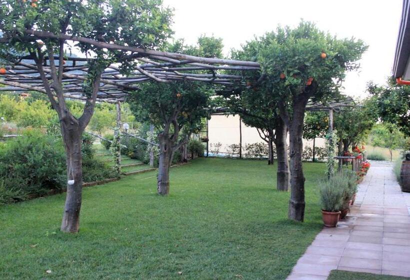 צימר Terra E Cielo