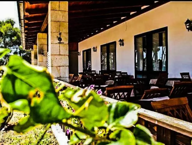 Aamiaismajoitus (B&B) Twin Tails