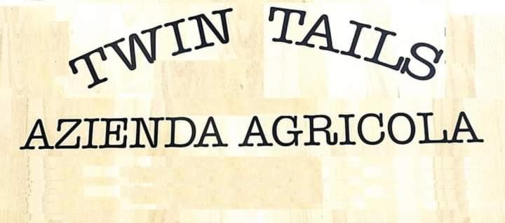 Bed and Breakfast Twin Tails