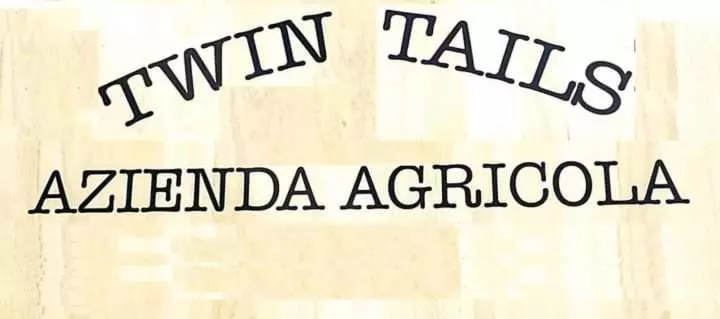 Aamiaismajoitus (B&B) Twin Tails