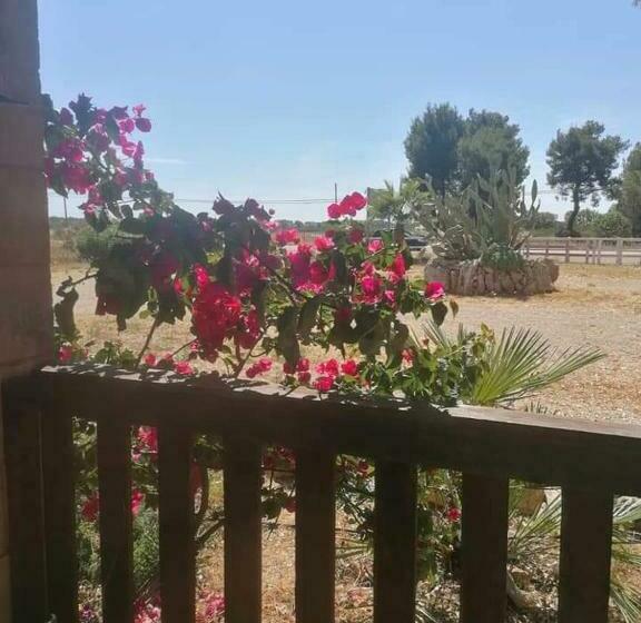 Bed and Breakfast Twin Tails