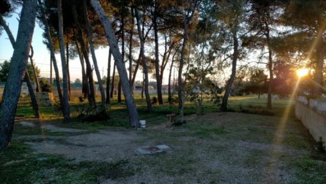 Bed and Breakfast Twin Tails