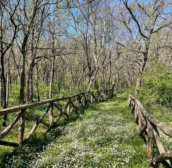 ホテル Masseria La Mandra