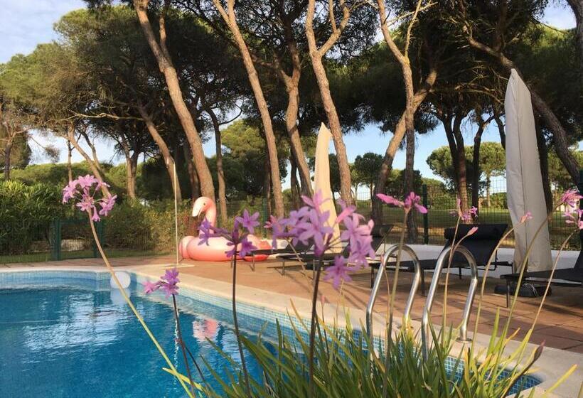 تختخواب و صبحانه Villa De La Luz Luxury Guesthouse