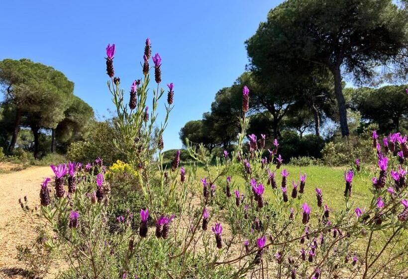 تختخواب و صبحانه Villa De La Luz Luxury Guesthouse