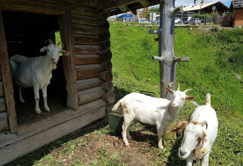 Berghotel Arthurhaus