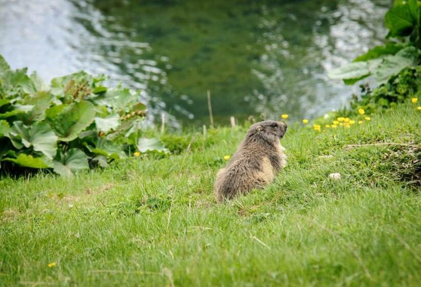 Berghotel Arthurhaus