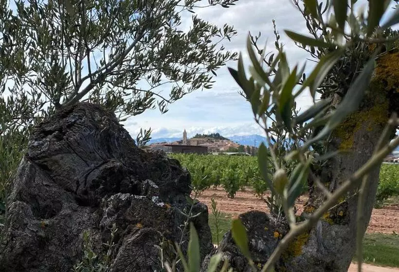 ホテル Bodega FyA - Grupo Piérola