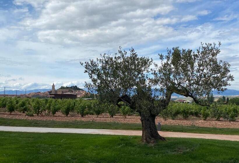 هتل Bodega FyA - Grupo Piérola