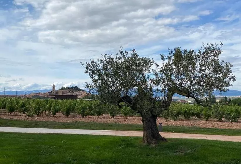 ホテル Bodega FyA - Grupo Piérola