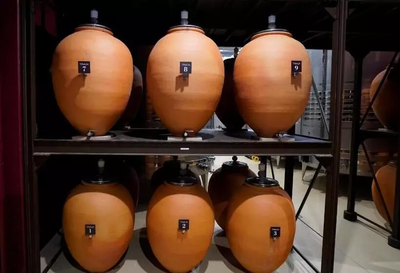 ホテル Bodega FyA - Grupo Piérola