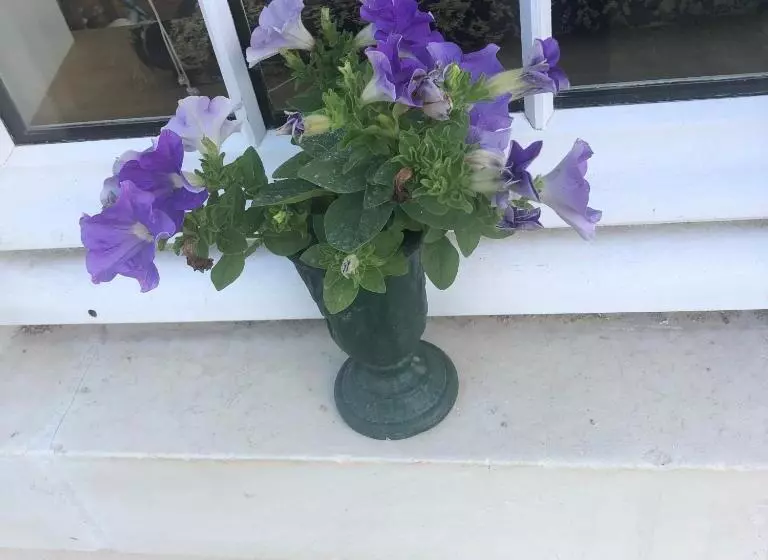 ペンション Grand Gite En Rez De Jardin