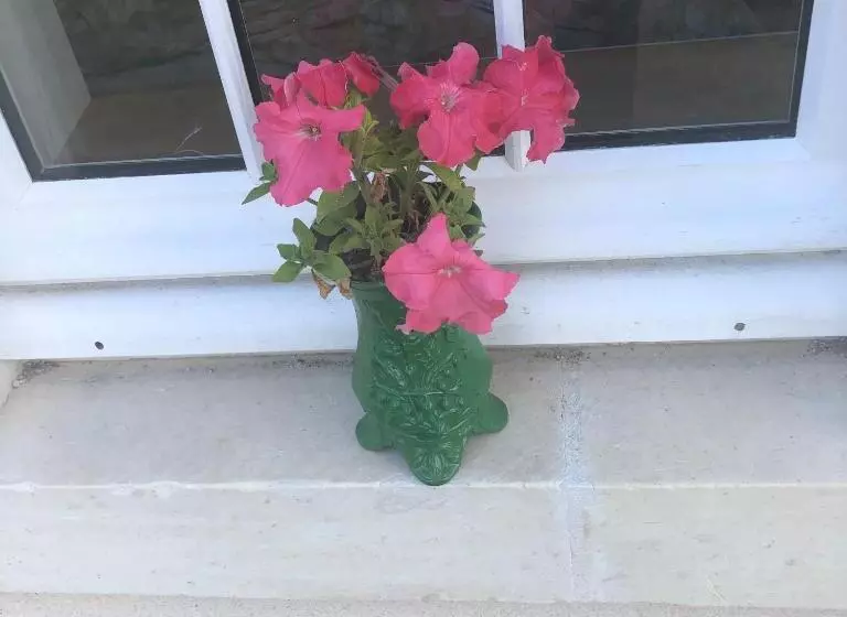 ペンション Grand Gite En Rez De Jardin