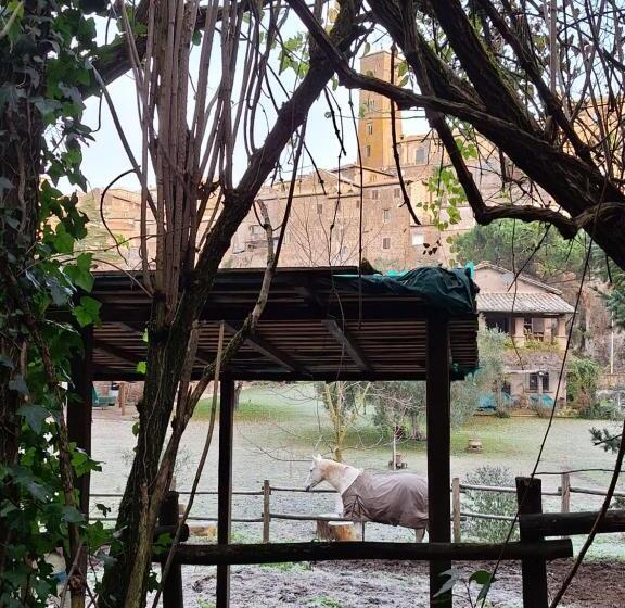 ペンション Radici Etrusche Sutri