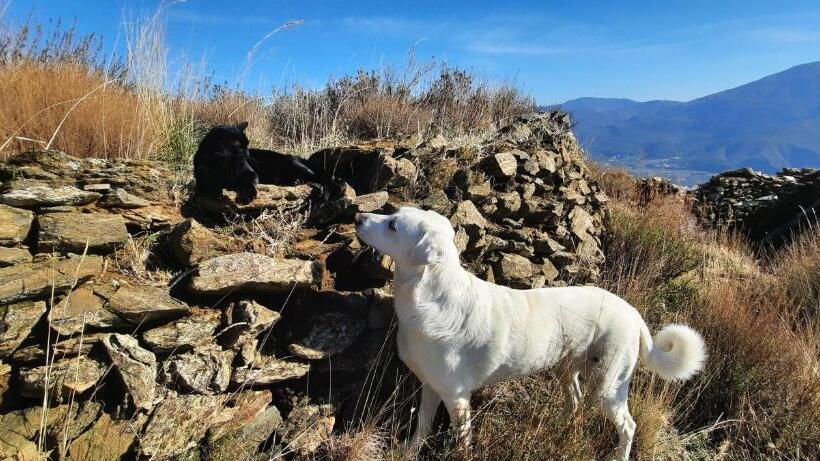 민박 Alpujarra Guesthouse, Habitaciones En Un Cortijo Sostenible Y Aislado En Medio De La Nada En Parque