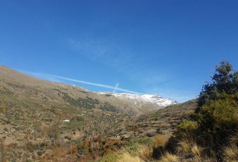 민박 Alpujarra Guesthouse, Habitaciones En Un Cortijo Sostenible Y Aislado En Medio De La Nada En Parque