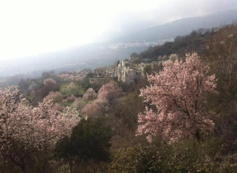 민박 Alpujarra Guesthouse, Habitaciones En Un Cortijo Sostenible Y Aislado En Medio De La Nada En Parque