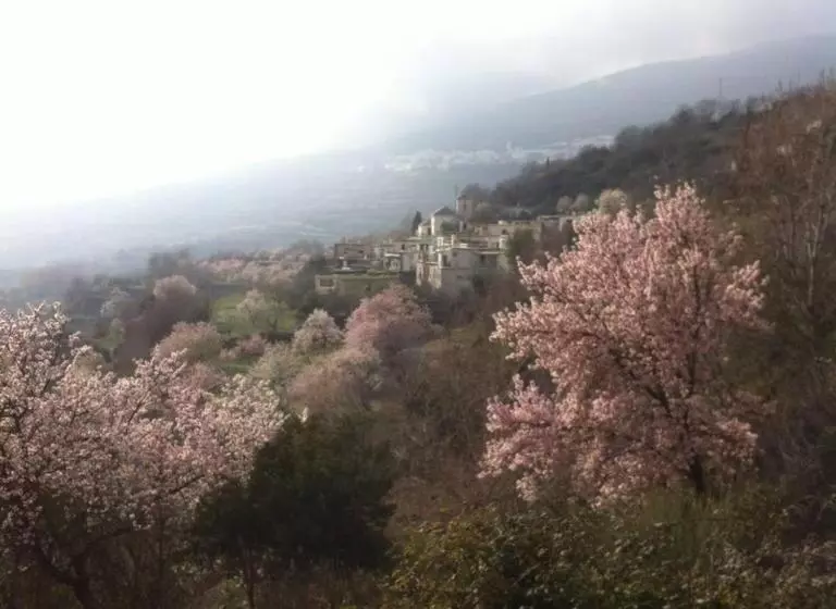 ベッドアンドブレックファースト Alpujarra Guesthouse, Habitaciones En Un Cortijo Sostenible Y Aislado En Medio De La Nada En Parque