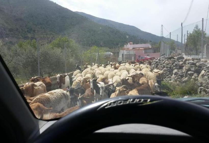민박 Alpujarra Guesthouse, Habitaciones En Un Cortijo Sostenible Y Aislado En Medio De La Nada En Parque